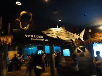 水族館５.JPG
